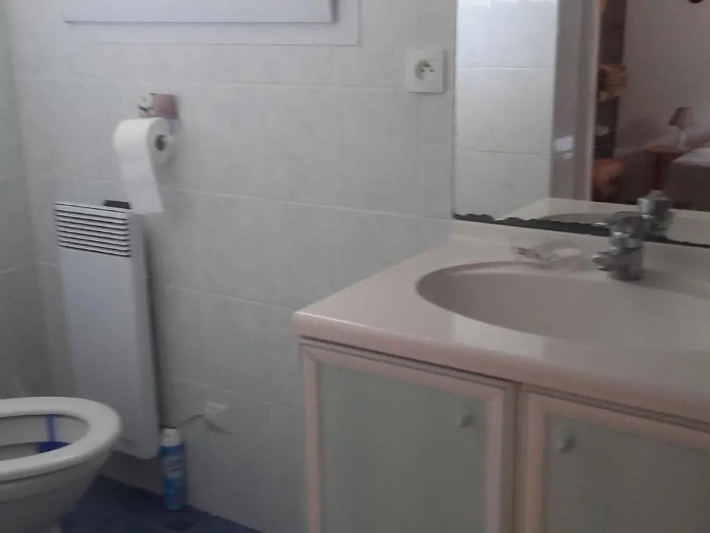 Appartement Arcachon, 2 pièces, 4 personnes - FR-1-319-85