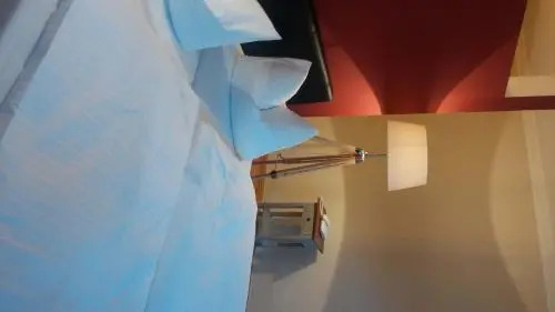 Hotel und Gasthof Dreibeiniger Hund