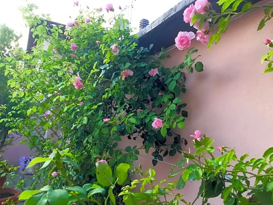 Bed  Breakfast Pescarenico