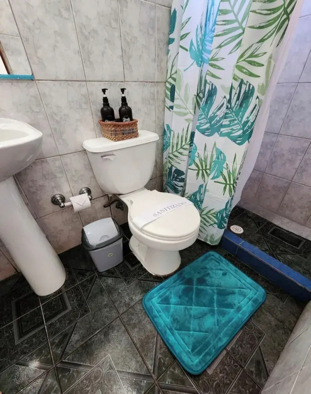Hostal del Bosque