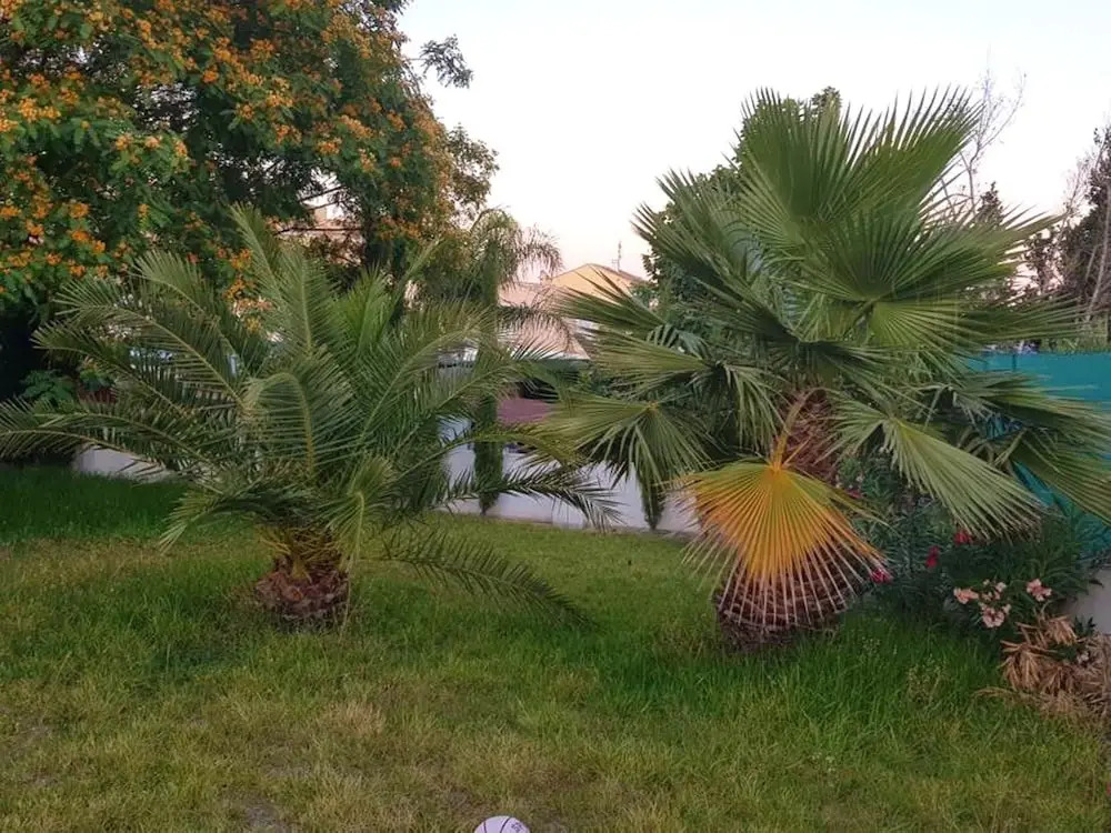 Studio in Orihuela, With Private Pool, Enclosed Garden and Wifi - 3 km