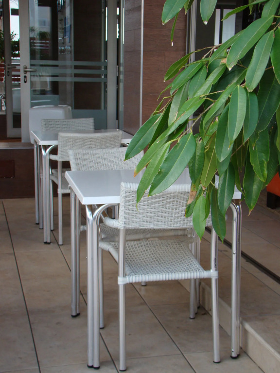 Apartamentos Fleming 50
