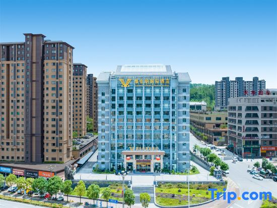 Vienna International Hotel version 5.0 Pingnan Guobao Avenue