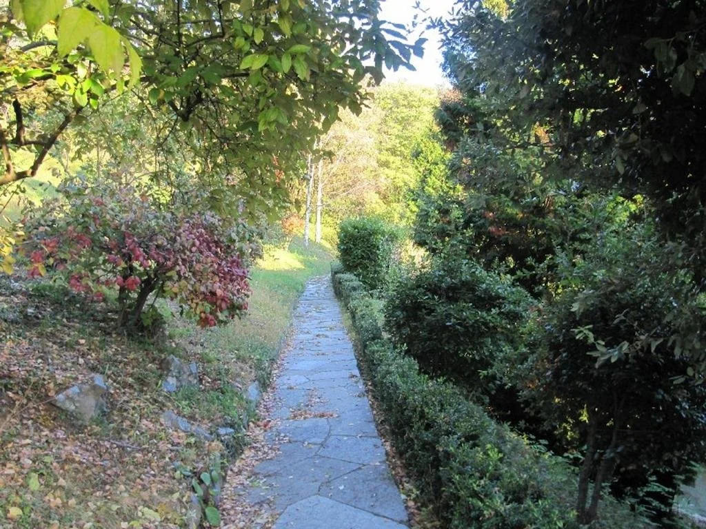 Vigna Il Merlo