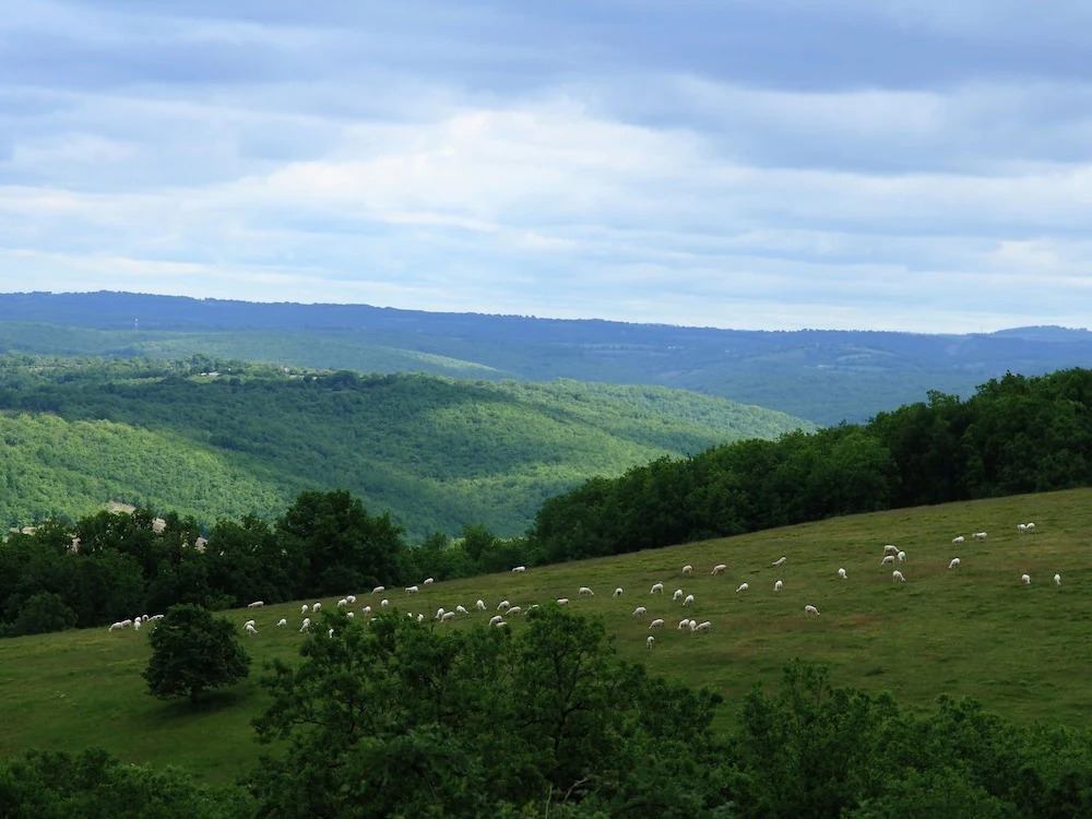 Secluded holiday home with a dishwasher, not far from Sarlat