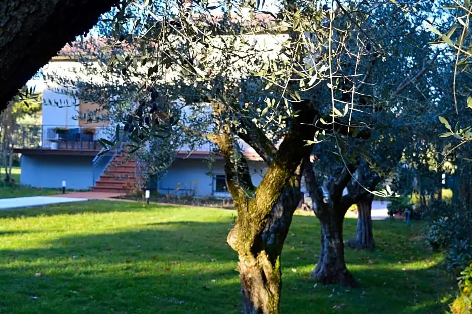 The Swan B&B