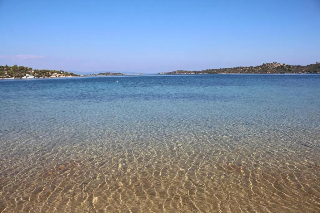 Philippos 1