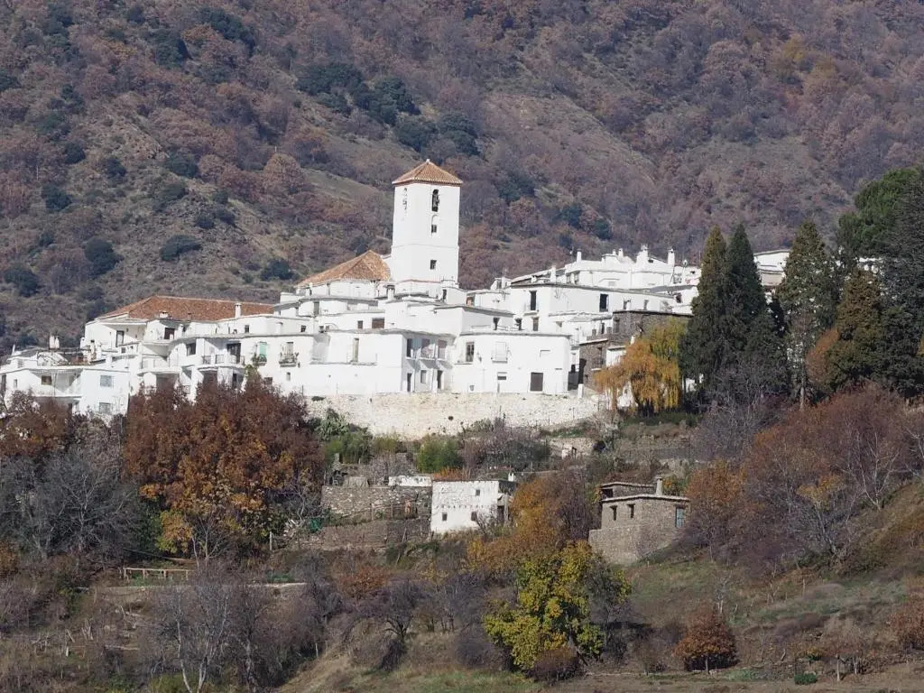 Casa Launa