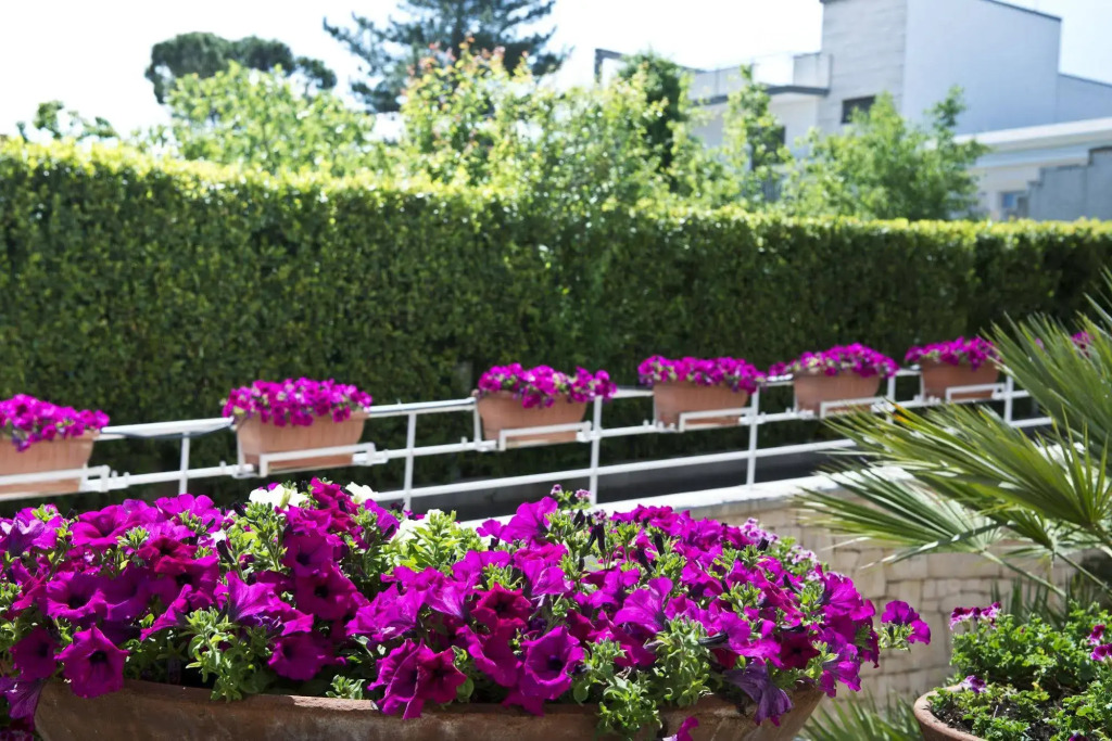Park Hotel La Grave