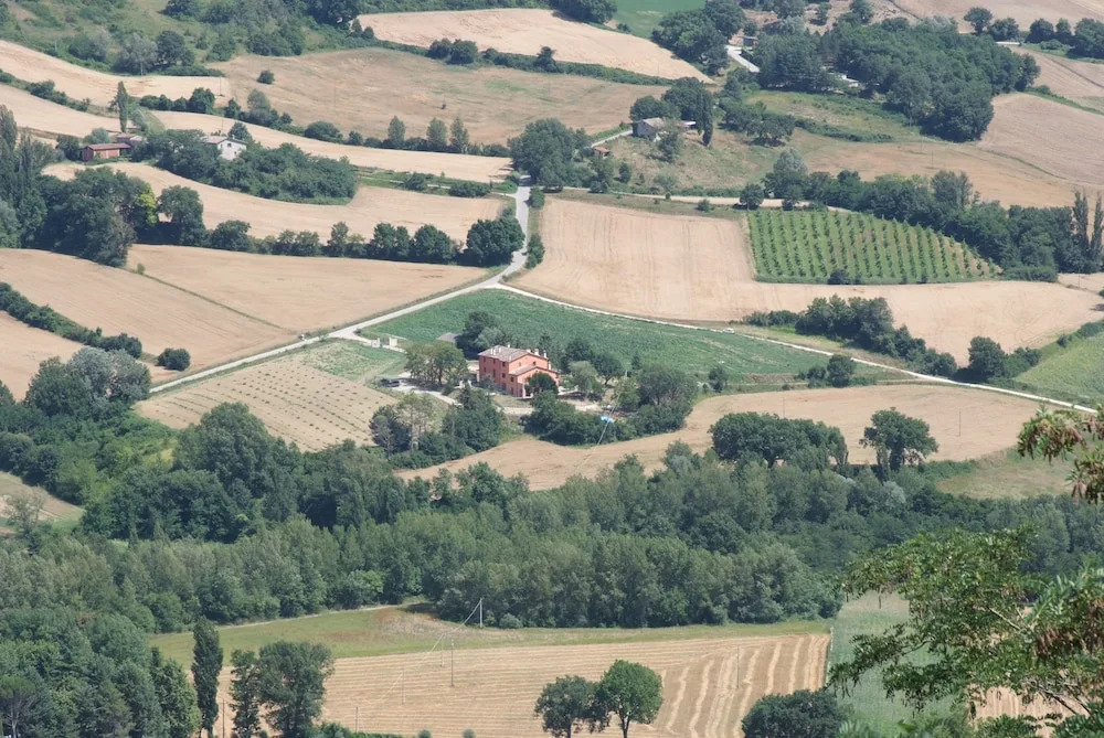La Carpinella