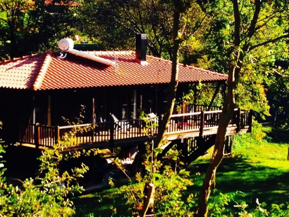 Tree Pool Villa