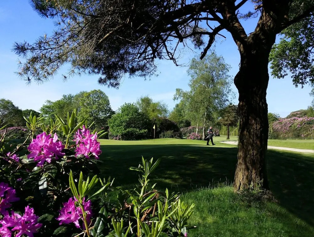 The Dorset Resort