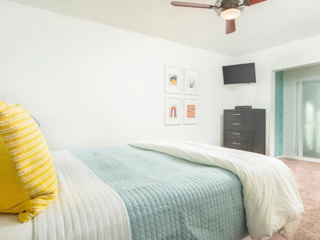 Canary Palms by ACME House Company