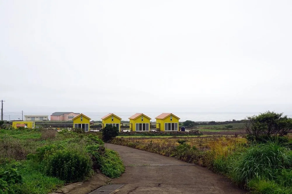 Udo Sunflower Pension