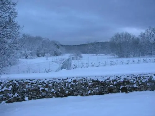 Štirenca