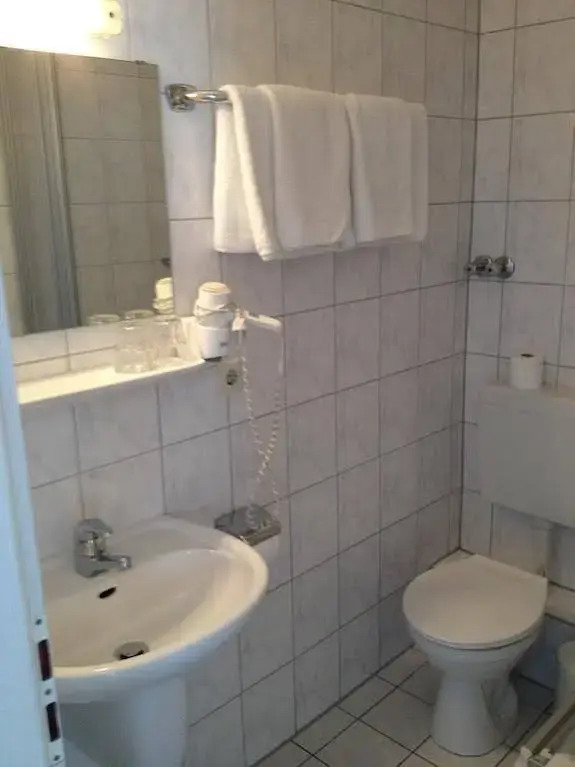 Hotel und Restaurant -Gasthaus Zur Pfalz