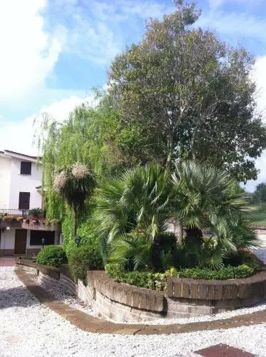 Lalbero Del Pepe