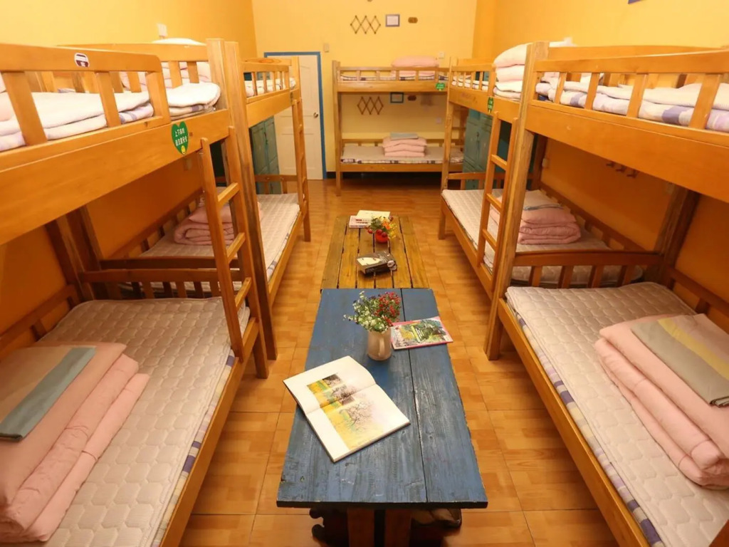 Terra Art Zen Hotel with Rooftop Zen Garden, Veggie Dining,Pick-up service,English speaking,Free Laundry