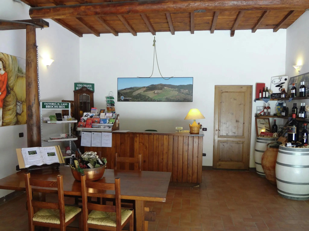 Detached, cozy cottage in vineyard with swimming pool and views over Tuscany