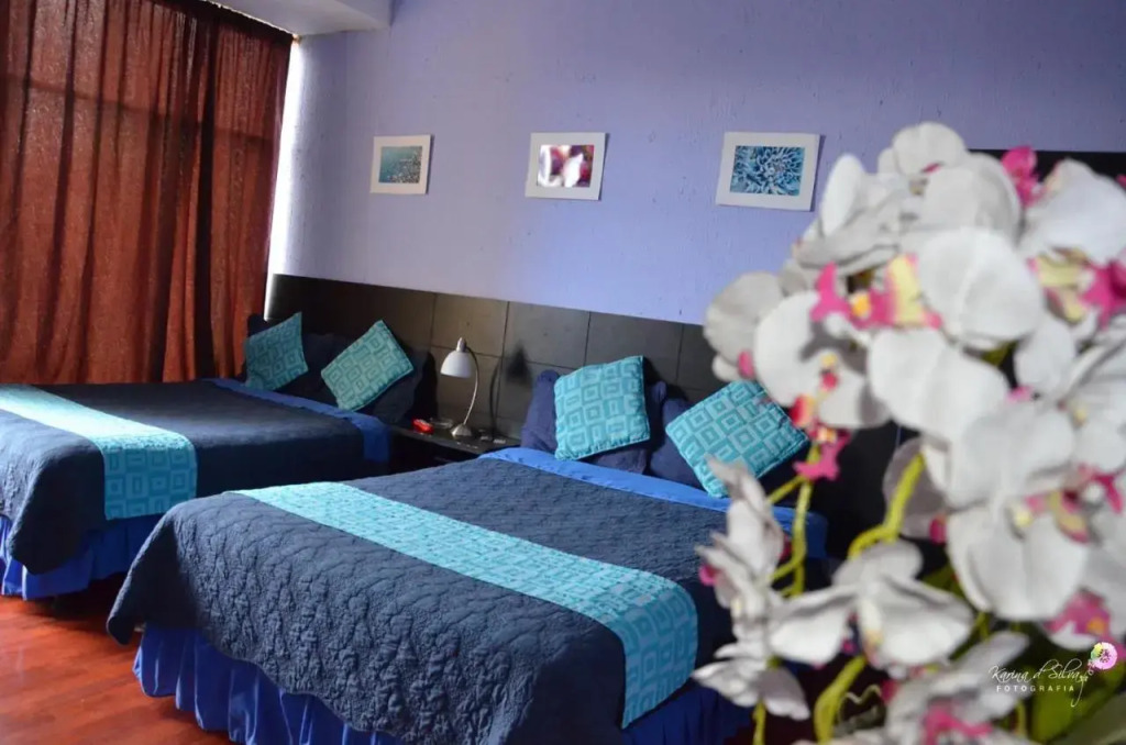 Hostal Alua Rio