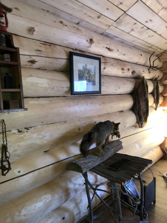 Wrangell Mountain Lodge