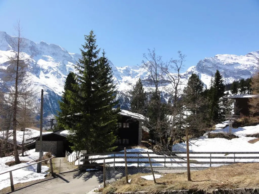 Chalet Schönbühl