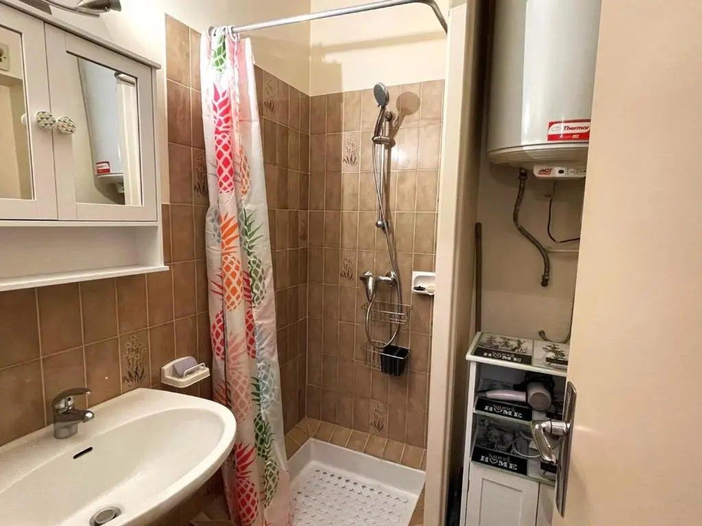 Appartement Aix-les-Bains, 1 pièce, 2 personnes - FR-1-555-10