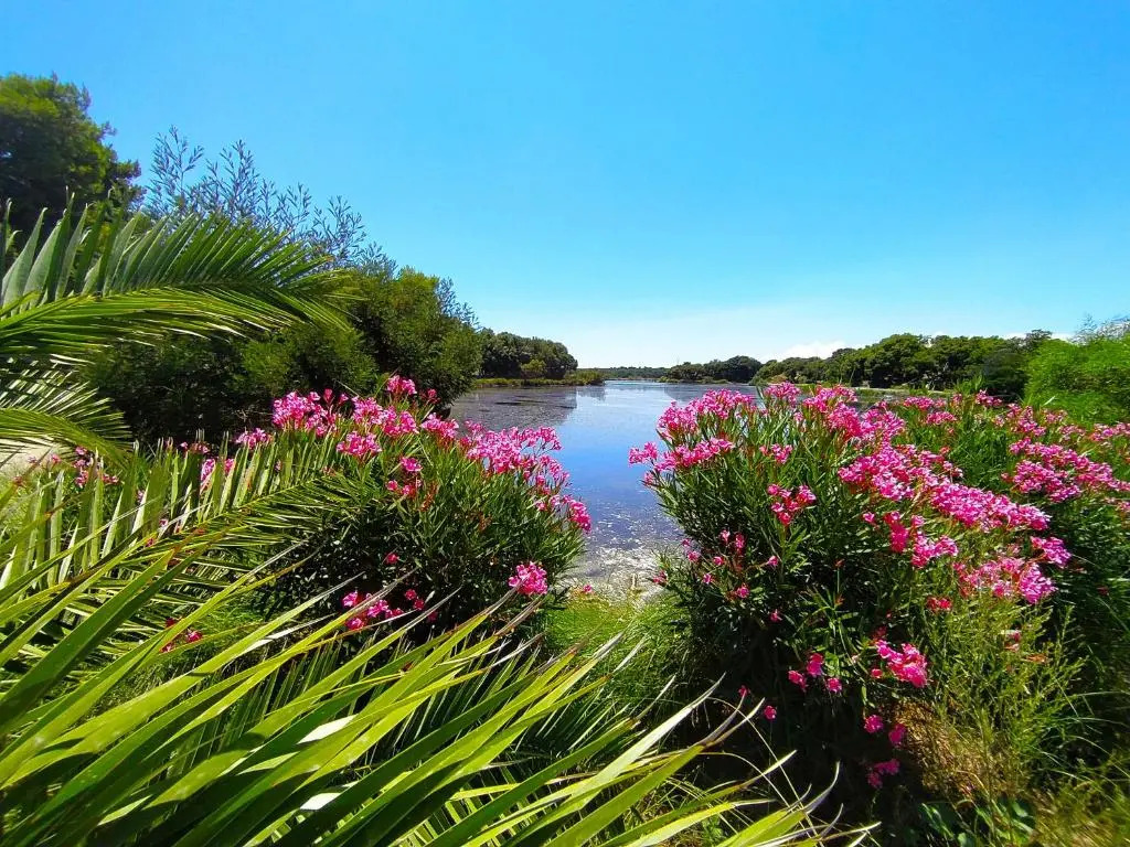 Camping Naturiste Riva Bella