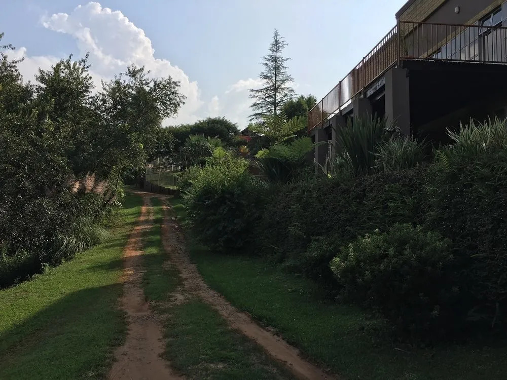 Forest View Guest house