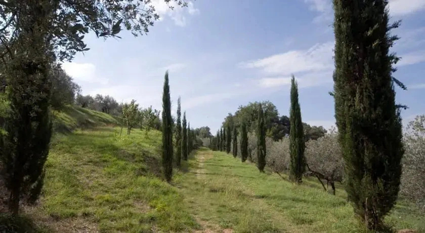 Villa Plini