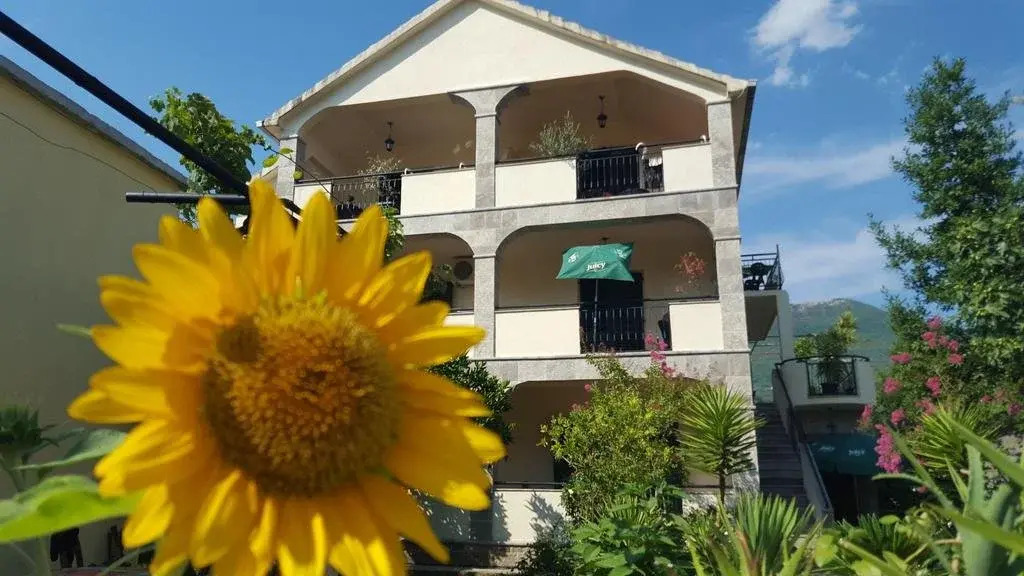 Guest House Mara
