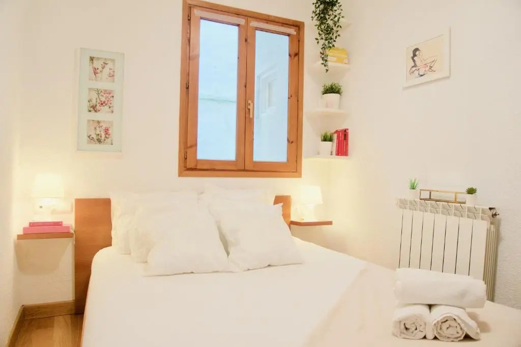 TOP APARTMENT frente a la Catedral