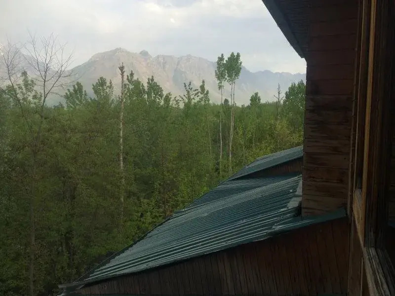 The Oasis Srinagar