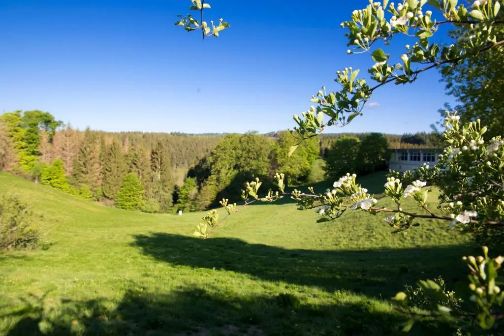 Panoramic Hohegeiß App 646 mit WLan