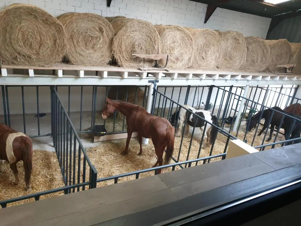 Equi-lodges