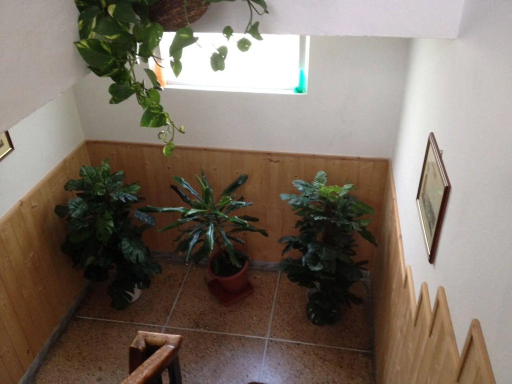 A Casa Doina Tower