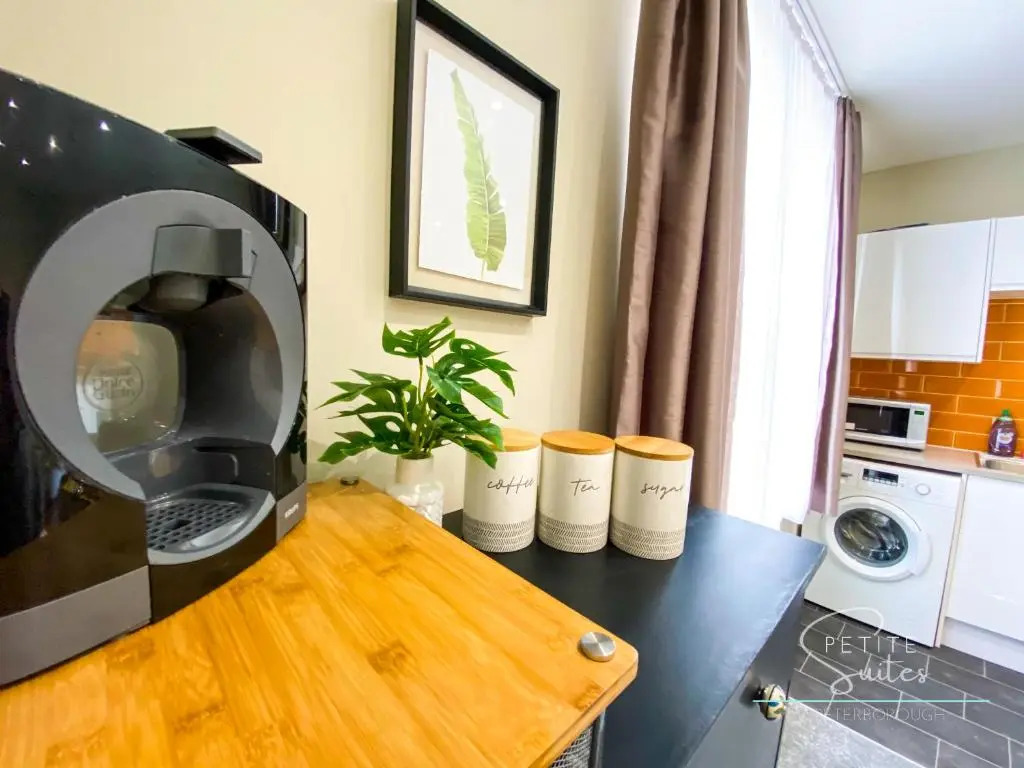 The Wild Fauna Suite - Petite Suites
