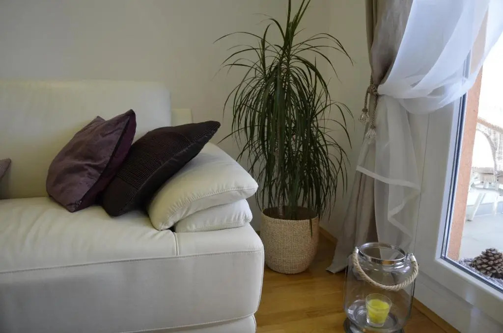 Harmony Apartment