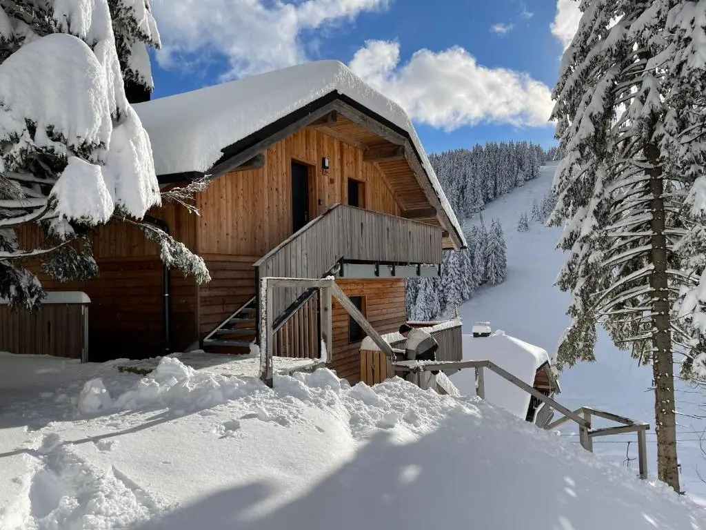 Golte - A2 Apartment - ski in/Out