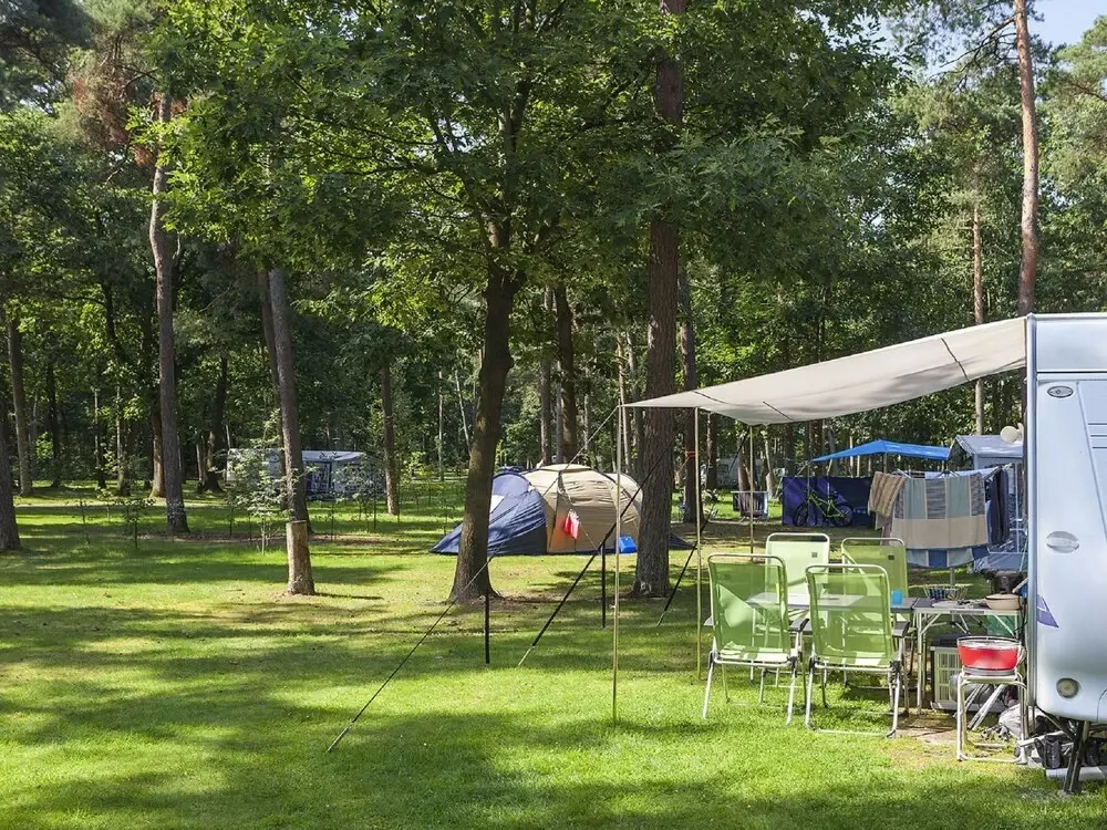 Oostappen Vakantiepark Arnhem Arnhem