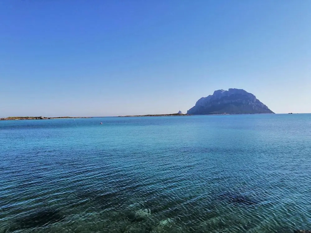 Aria di Vacanza- Molara