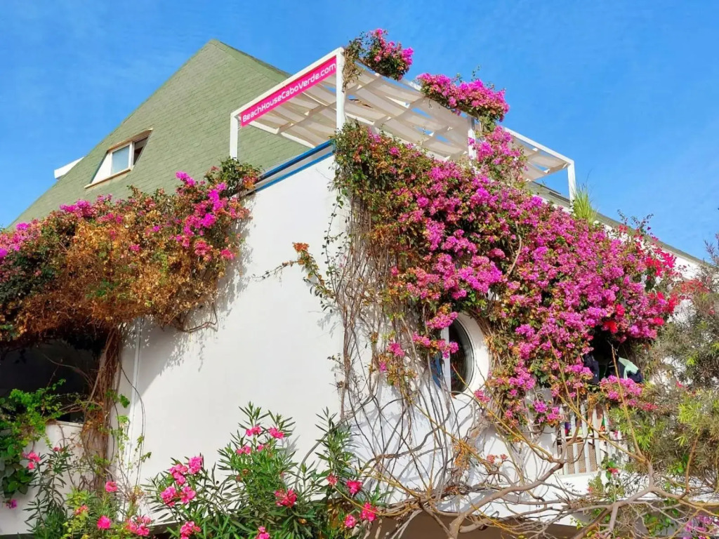 Beach penthouse with rooftopbar and Fiber WiFi, spectacular 180 degrees ocean view
