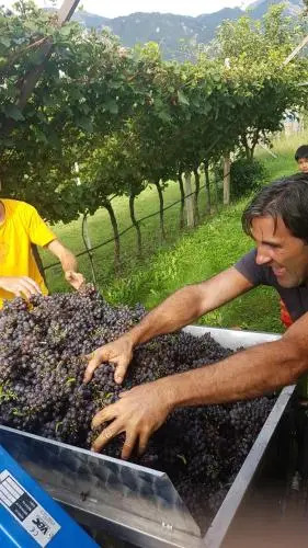 Agriturismo Linda