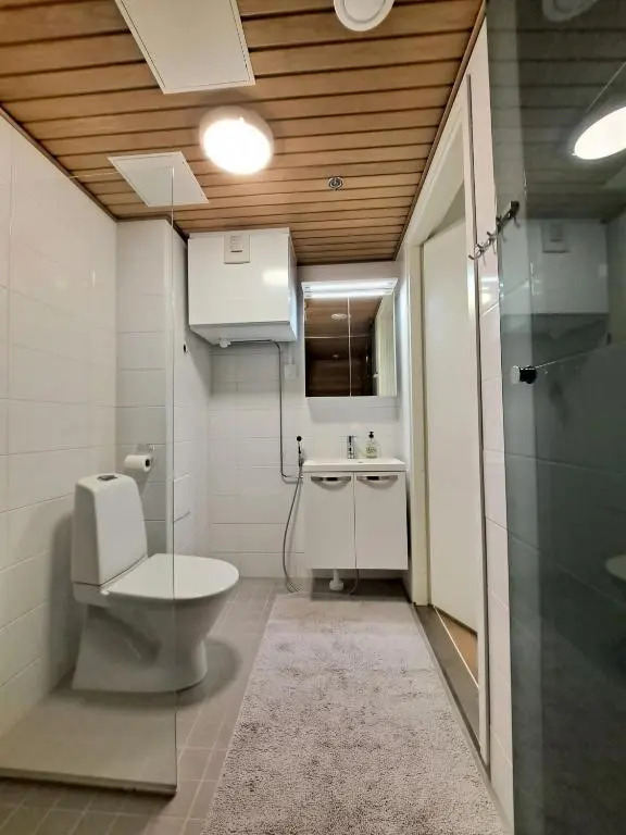 Hilmantori 206