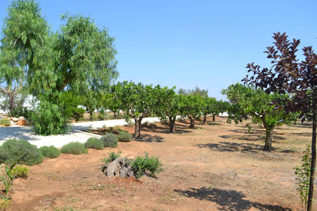 Tenuta Le Vermene