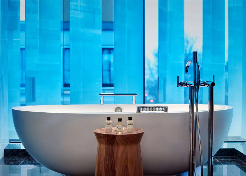Park Hyatt Zurich   City Center Luxury
