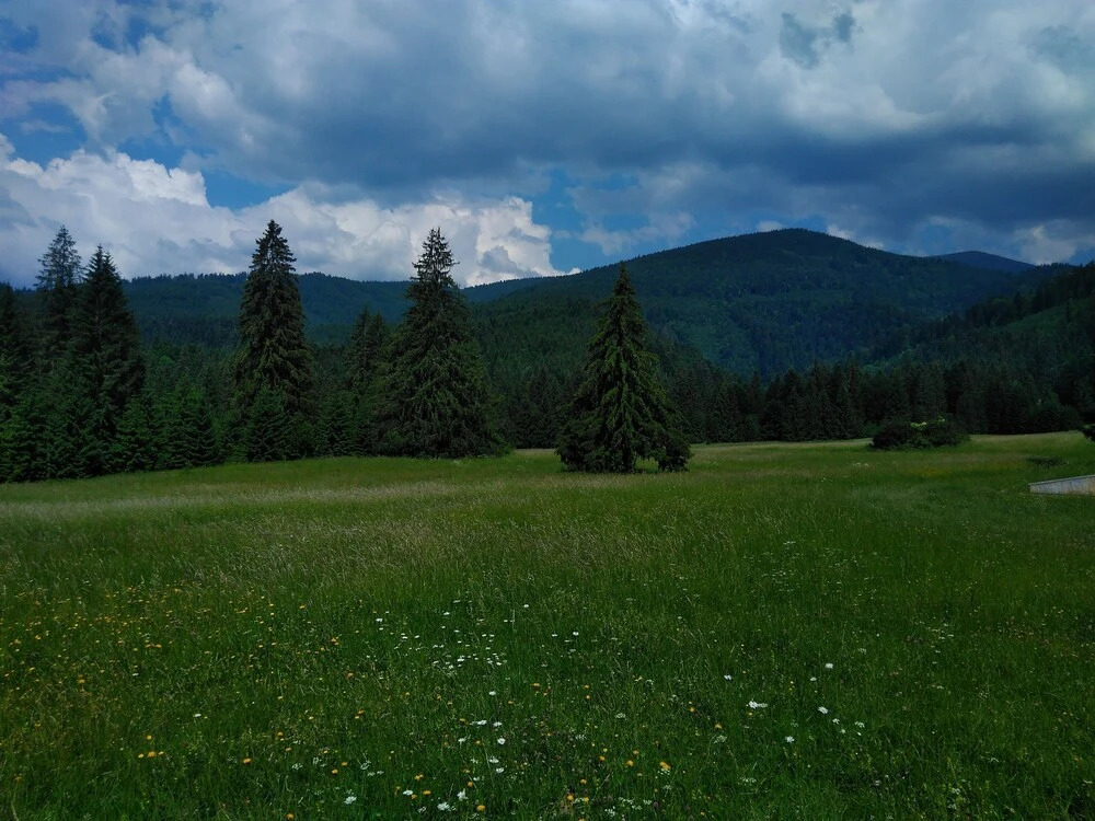Ski-Lake Cottage Nízke Tatry
