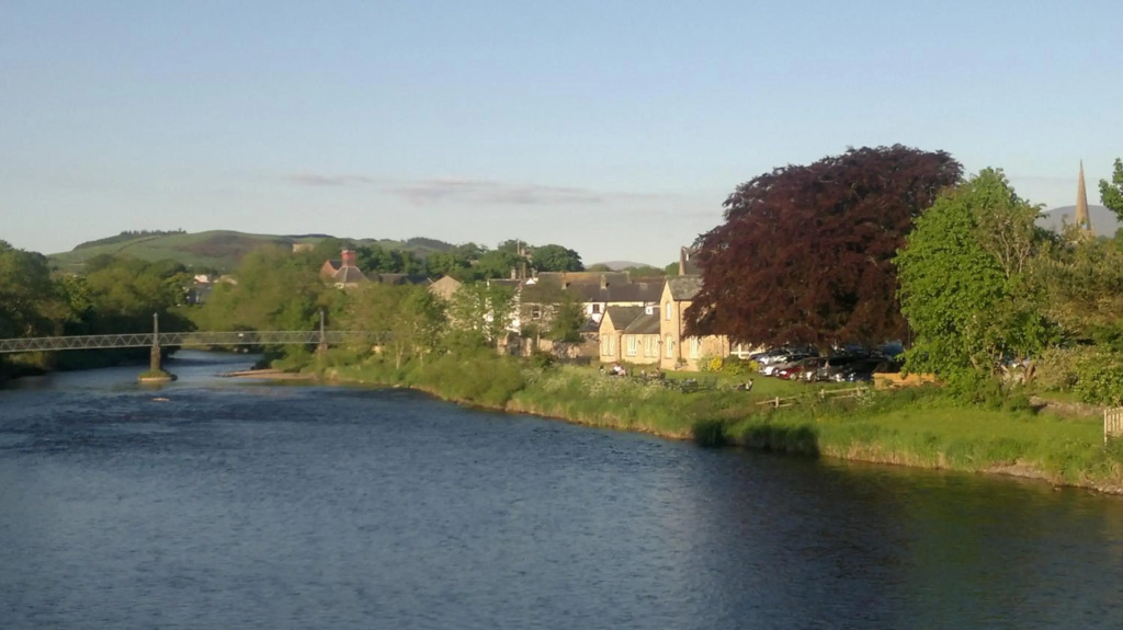 Trout Hotel