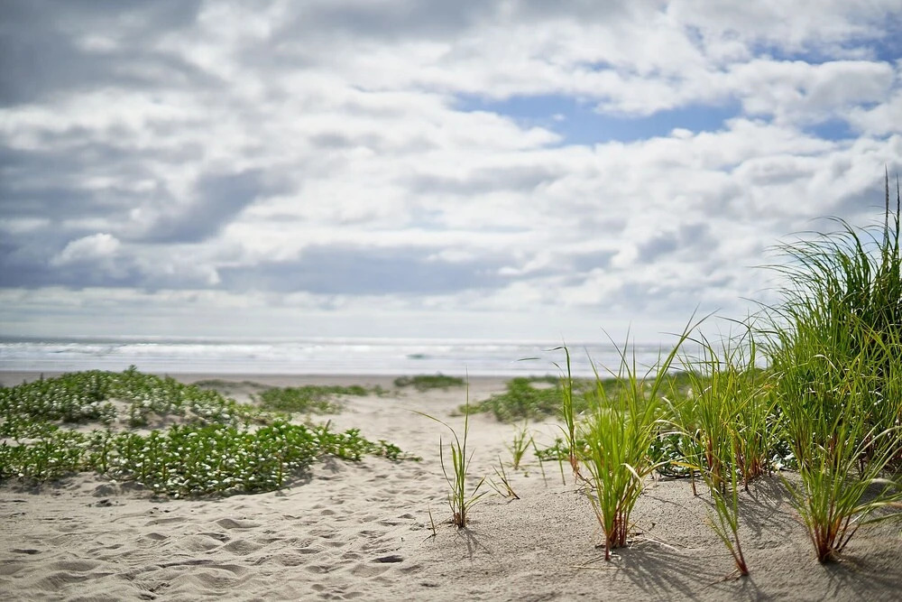 Klipsan Beach Cottages