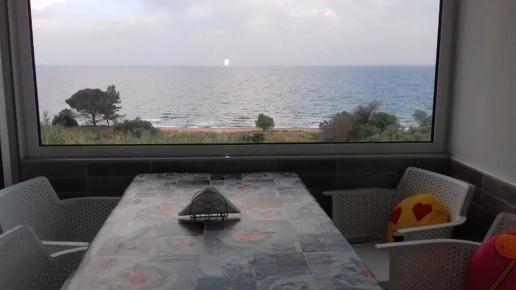 Margarita House